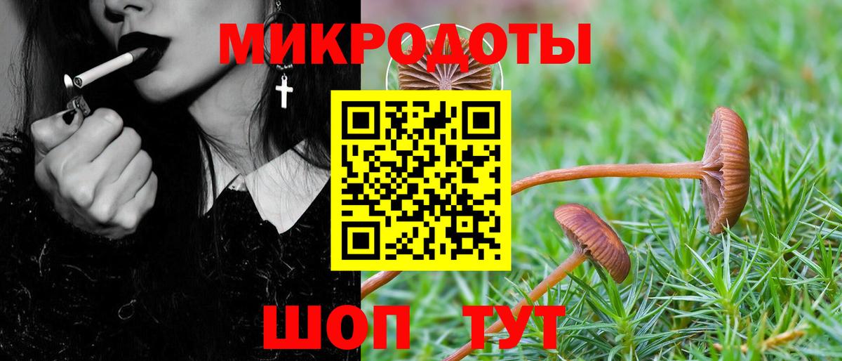 Псилоцибиновые грибы Psilocybe  Вход с VPN  Ликино-Дулёво 