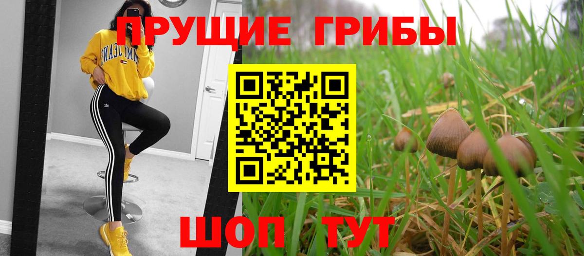 Галлюциногенные грибы прущие грибы Ликино-Дулёво